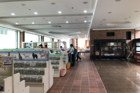 Cải tạo và sửa chữa kho SHOWROOM Minh SÁNG