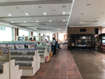Cải tạo và sửa chữa kho SHOWROOM Minh SÁNG
